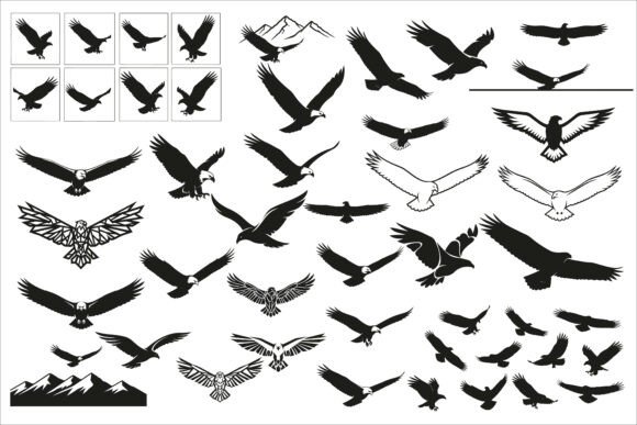 Download Powerful Eagle Flying Wall Art Design - Premium Resources